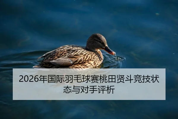 2026年国际羽毛球赛桃田贤斗竞技状态与对手评析