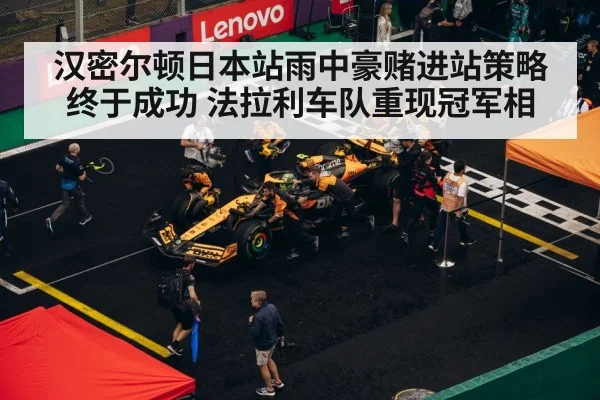 F1 pit stop strategy