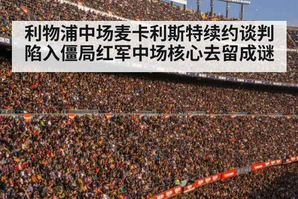 football stadium crowd